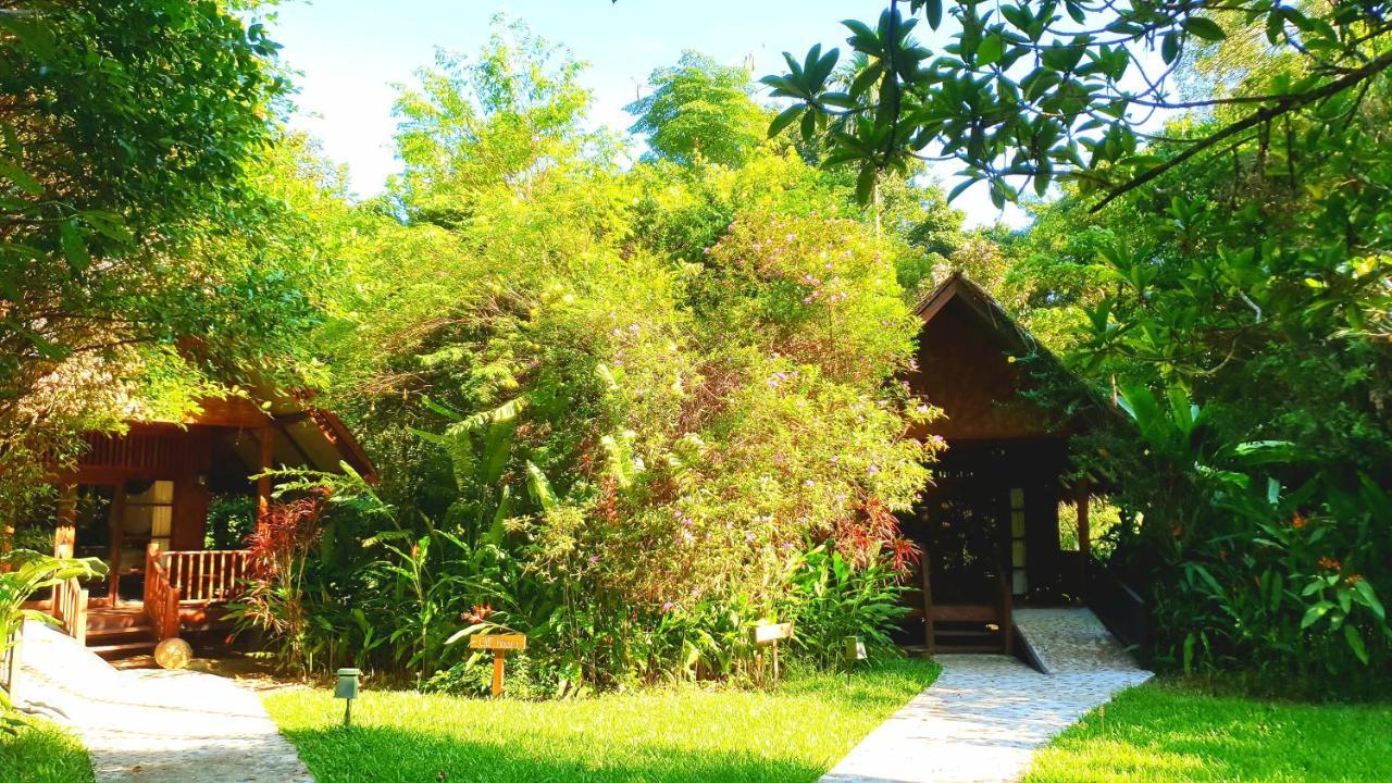 Отель Our Jungle House Khao Sok National Park Экстерьер фото